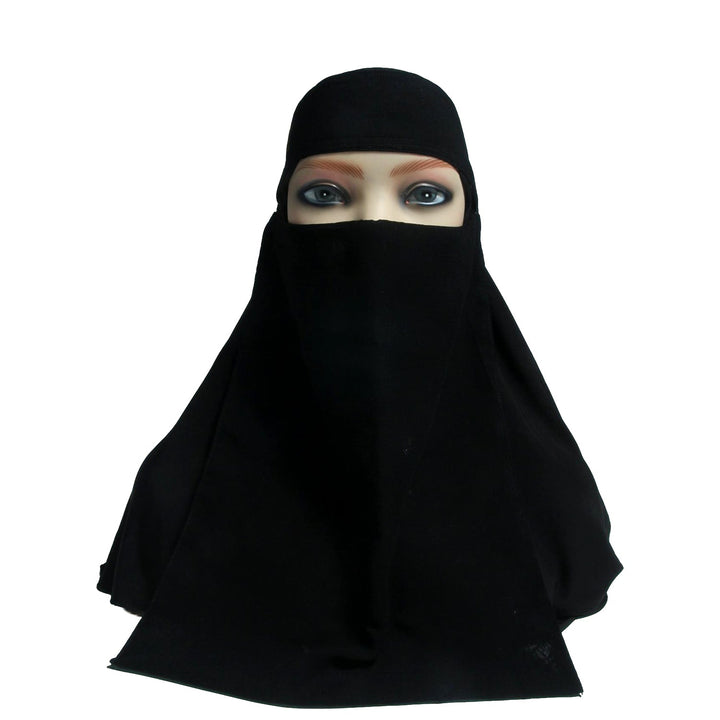 Saudi Naqab
